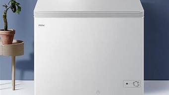 国产冰柜哪个牌子好_国产冰柜哪个牌子好质量好性价比高