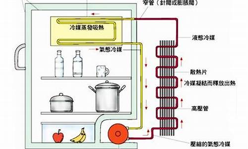 电冰箱工作原理中的物态变化_电冰箱工作原理中的物态变化是什么